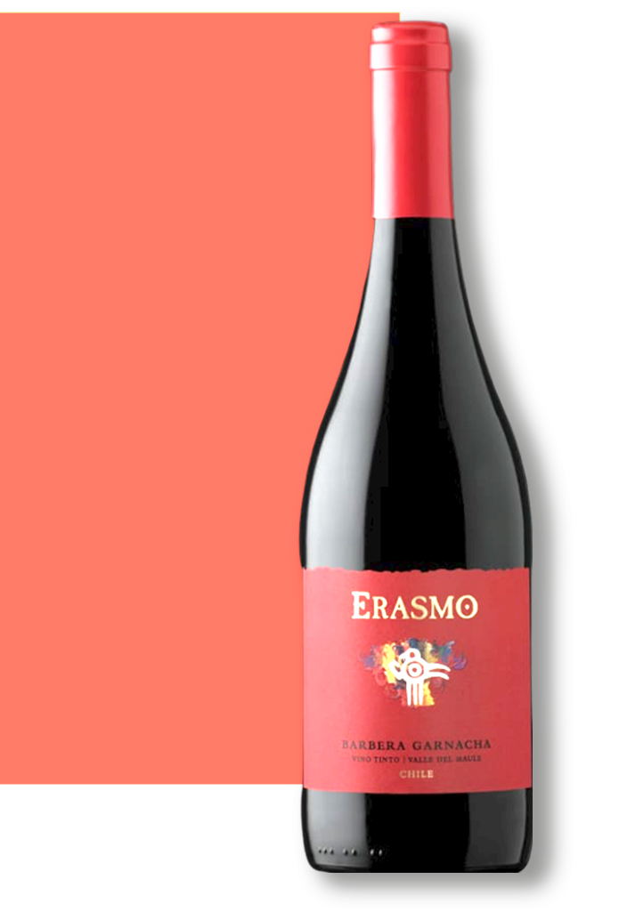 erasmo